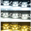 LED Module