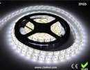 LED软灯条 SMD5050 60灯 白光